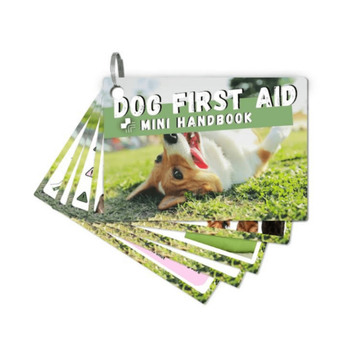 Handy A7 Guide for Dog First Aid including heat stroke, poisons and emergency care